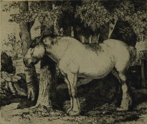 Image description is not available for DU1944.12